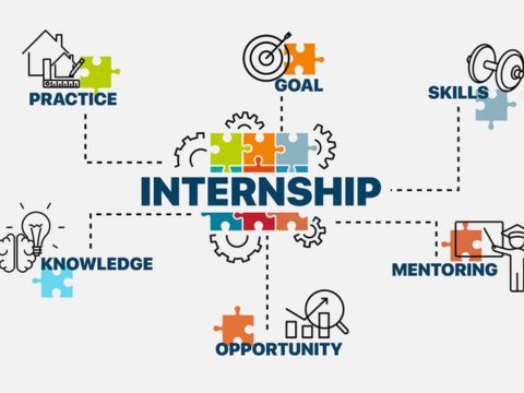 Online Internship